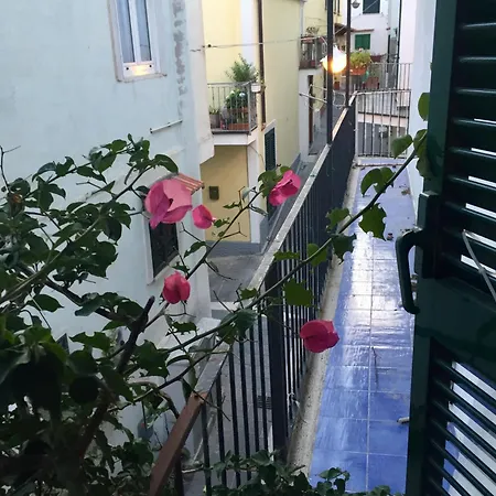 Guest house La Bouganville